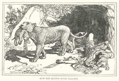 Hvordan løvinden reddede Malchus (litho) af Henry Justice Ford