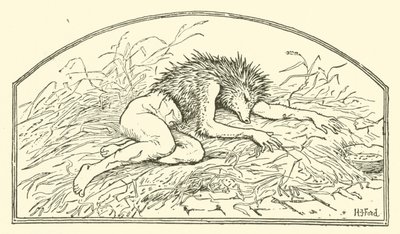 Jack My Hedgehog (gravering) af Henry Justice Ford