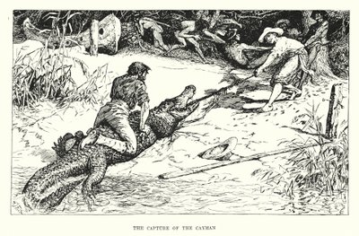 Kapringen af Cayman (gravering) af Henry Justice Ford