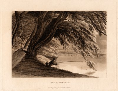 Fiskedammene af Henry Morton