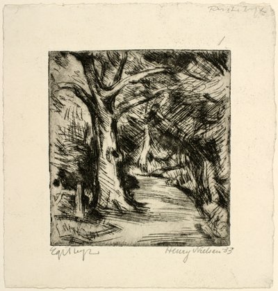 Skovvej. Riis skov af Henry Nielsen