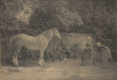 [Old Dapple] af Henry Peach Robinson