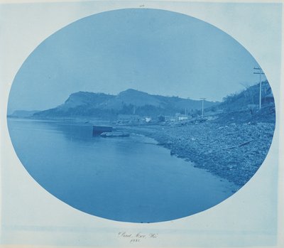 Bad Axe, Wis. 1885 (foto) af Henry Peter Bosse