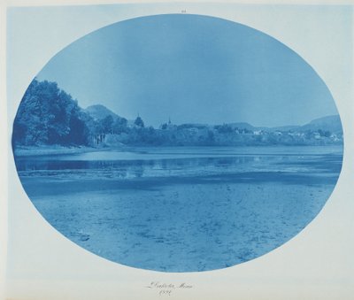 Dakota, Minn. af Henry Peter Bosse