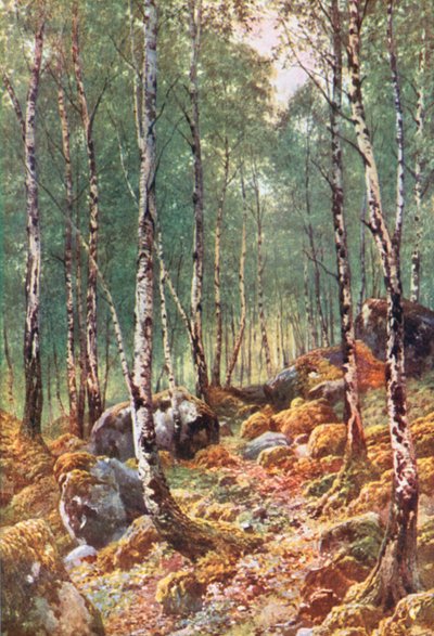  af Henry Sutton Palmer