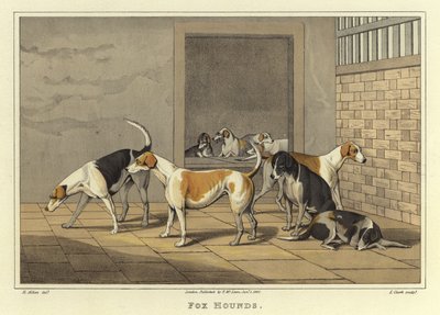 Rævehunde (chromolitho) af Henry Thomas Alken
