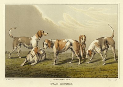 Hjortehunde (chromolitho) af Henry Thomas Alken