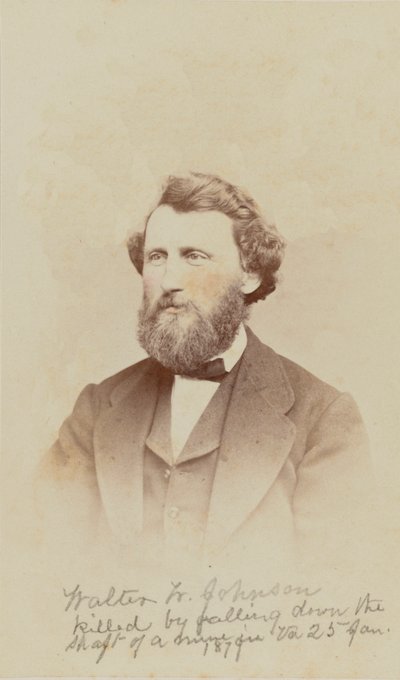 Carte-de-visit portræt af Walter W. Johnson, 1868. af Henry Ulke