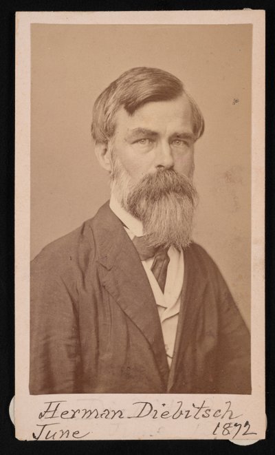 Portræt af Herman Henry Diebitsch 1818-1883, 1871. af Henry Ulke