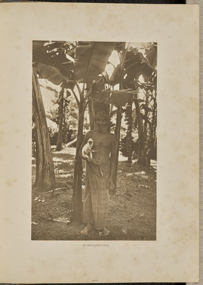 Kammerater af Henry W. Cave