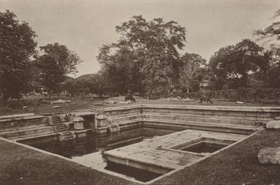 Ceylons ruinerede byer: Pokuna (s/h foto) af Henry W. Cave