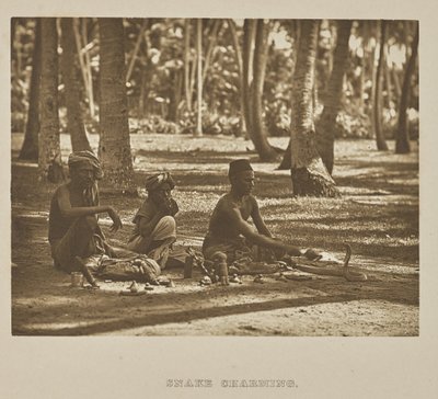 Charmerende slange af Henry W. Cave