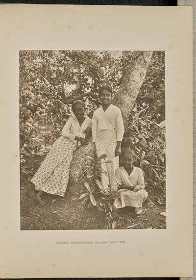Tre Moratowa Maids er vi af Henry W. Cave