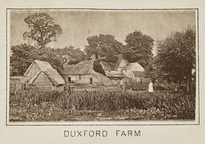 Duxford Farm af Henry W. Taunt