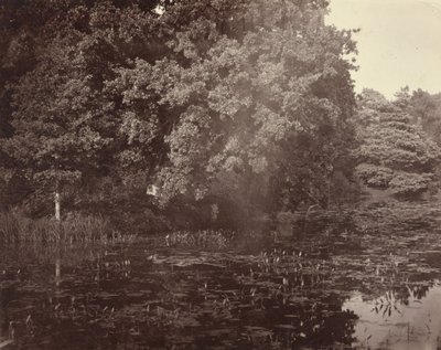 [Dam i park, Surrey] af Henry White