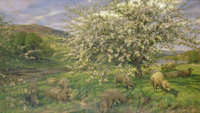 Ukendt billede af Henry William Banks Davis