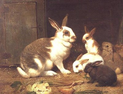 Kaniner fodrer af Henry William Carter