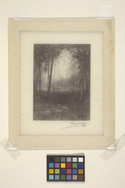 In The Adirondacks (blæk) af Henry Wolf