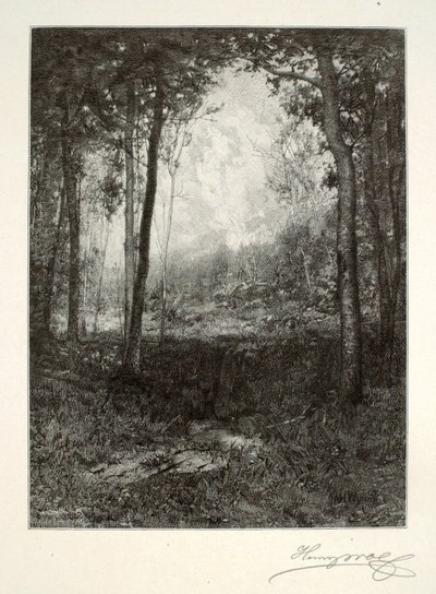 I Adirondacks af Henry Wolf