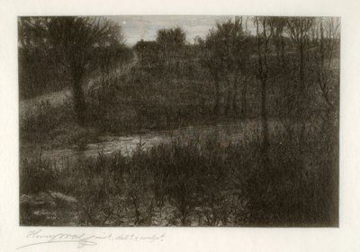 Aftenstjernen (motiv fundet i Catskills) af Henry Wolf