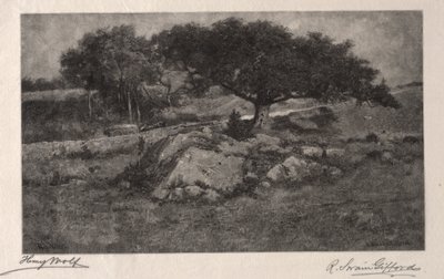 Vejkanten. af Henry Wolf