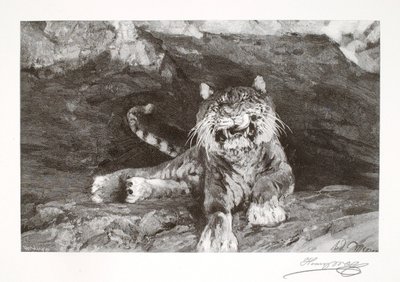 Tiger af Henry Wolf