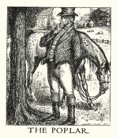 Ingoldsby Legends: The Poplar (litografi) af Herbert Cole