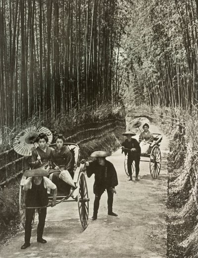A Bamboo Avenue i Kyoto, 1910. af Herbert Ponting
