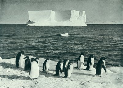 A Berg Drifting in McMurdo Sound, c19101913, 1913. af Herbert Ponting