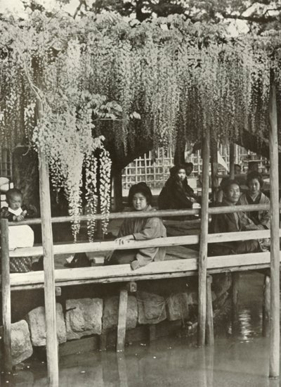 A Wisteria Arbor ved Kameido, 1910. af Herbert Ponting