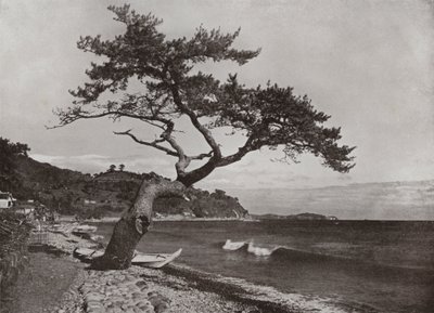 Atami (s/h foto) af Herbert Ponting