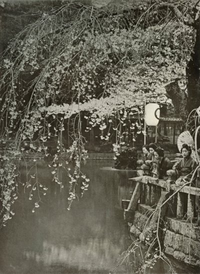Cherry-Blossom Time i Japan, 1910. af Herbert Ponting