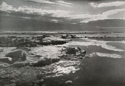 Juleaften 1910 i flokken, 1913 af Herbert Ponting