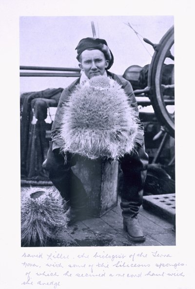 David Lille, biolog fra 