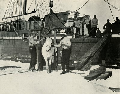 Afskibning af ponyerne, c19101913, 1913 af Herbert Ponting