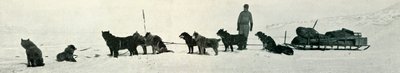 Hunde med butikker ved at forlade Hut Point, c1911, 1913 af Herbert Ponting