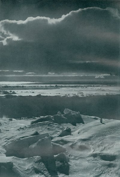 Aftenscene i flokken, c19101913, 1913 af Herbert Ponting