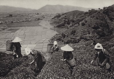 Japan i 1920