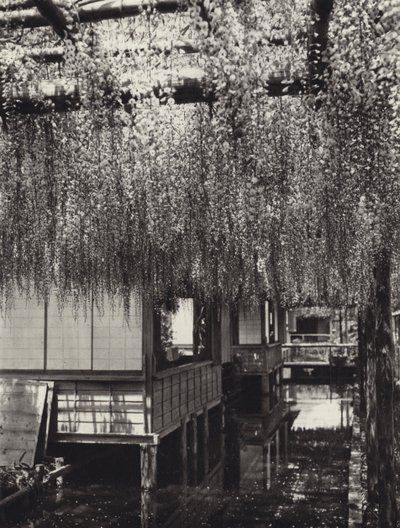 Japan i 1920