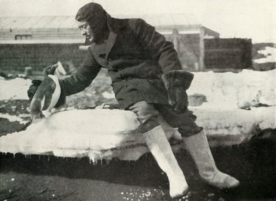 Løjt. Rennick og en venlig pingvin, 1911, 1913 af Herbert Ponting