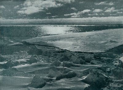 Moonlight in the Pack, c19101913, 1913 af Herbert Ponting