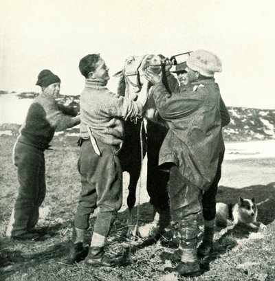 Pony tager whisky, 8. februar, 1911, 1913 af Herbert Ponting