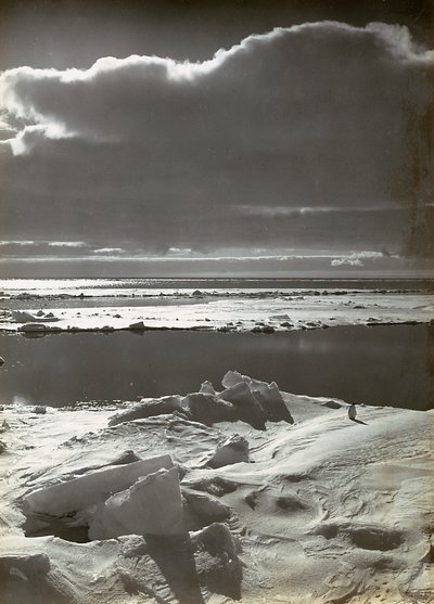 Solnedgang på flokken af Herbert Ponting