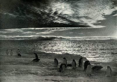 Midnatssolen i McMurdo Sound, c19101913, 1913 af Herbert Ponting