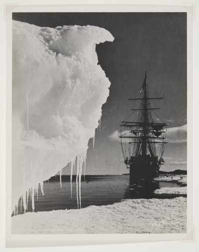 Terra Nova ved isfoden (bromidtryk) af Herbert Ponting