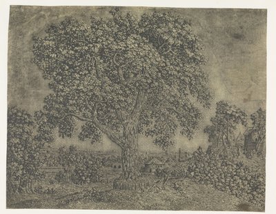 Det store træ af Hercules Segers