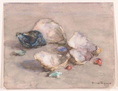 Skaller på stranden af Herman Bogman (signed by artist)