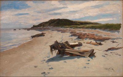 Cape Cod, Strand af Herman Hartwich