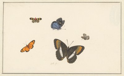 Fem sommerfugle (akvarel og gouache) af Herman Henstenburgh