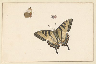 Tre sommerfugle (akvarel og gouache) af Herman Henstenburgh